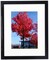 8x12 Picture Frame Black Set of 1 Pack 8x12 6x8 Inch Black Picture Frame Display Pictures 8" x 12" Rectangular Photo Picture Frame 1 Pack Black 8x12 6x8 Inch Photos Picture Frame Wall